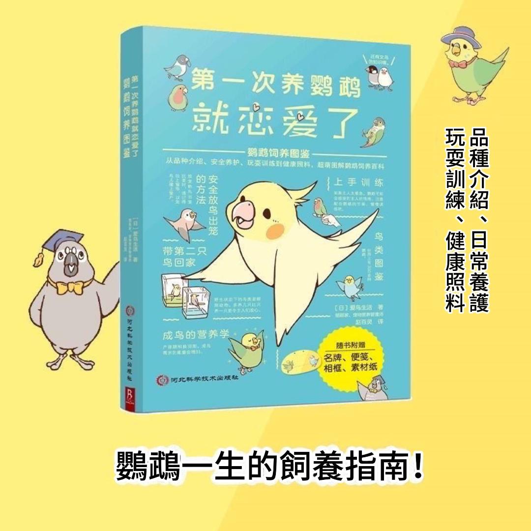 第一次鸚鵡戀愛飼養科普百科第一次養鸚鵡就懂它 鸚鵡行為圖鑑